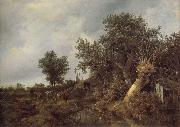 Landscape with a cottage and trees, Jacob van Ruisdael
